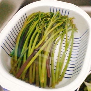 重曹なしで簡単 わらびのあく抜きと保存 レシピ 作り方 By はなまる子 楽天レシピ 重曹なしで簡単 わらびのあく抜きと保存 レシピ 作り方 By はなまる子 楽天レシピ